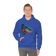 Taste The Rainbow Salmon Unisex Heavy Blend™ Hooded Sweatshirt