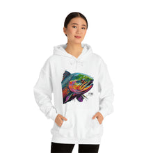 Curious Salmon Art, Unisex Heavy Blend™ Hooded Sweatshirt